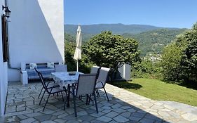 Camellia Guesthouse