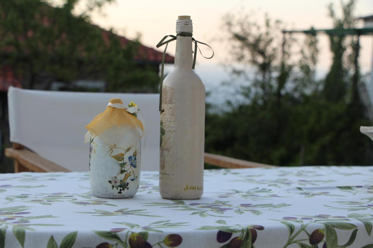 Camellia Guesthouse Ανήλιο Πηλίου Εξωτερικό φωτογραφία