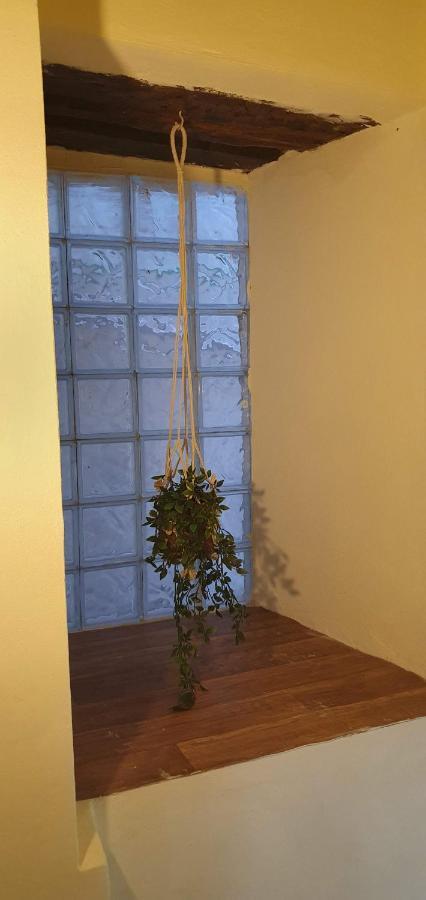 Camellia Guesthouse Ανήλιο Πηλίου Εξωτερικό φωτογραφία